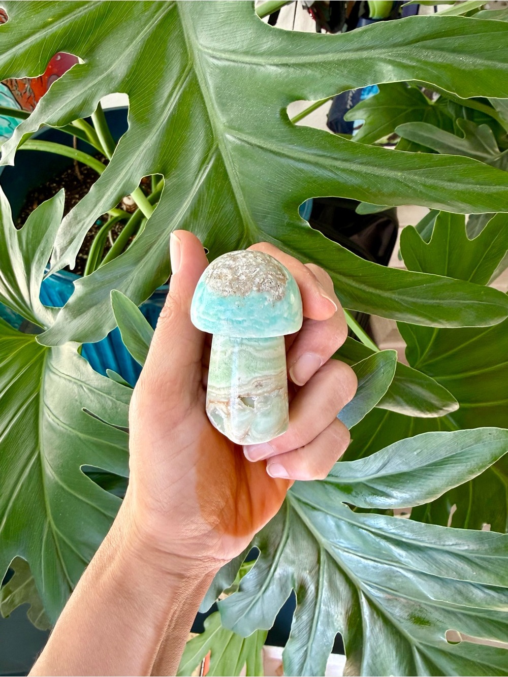 Blue Caribbean calcite mushroom